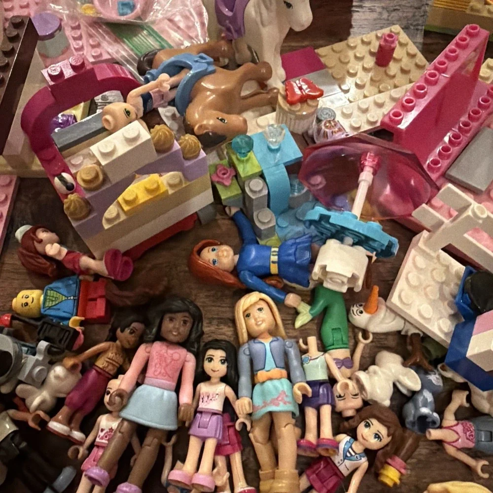 LEGO Friends Mini Dolls Animals Accessories Plane Van Manual Disney Sets Parts